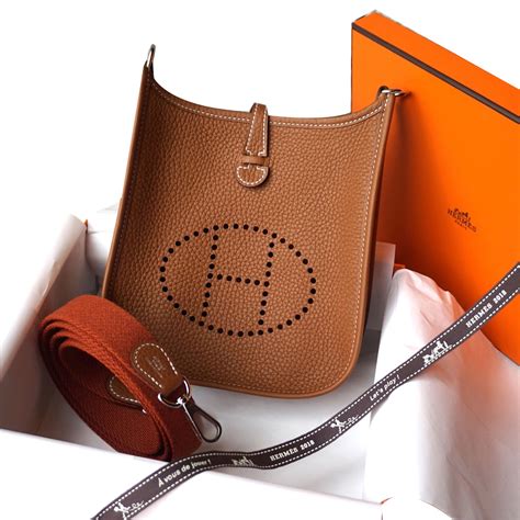 the Hermes evelyne bag